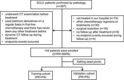 Precise prediction of the sensitivity of platinum chemotherapy in SCLC: Establishing and verifying the feasibility of a CT-based radiomics nomogram